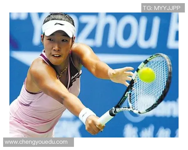 西安网球队挑战赛特别报道:勇攀高峰的奋斗历程与辉煌成就