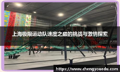 上海极限运动队速度之巅的挑战与激情探索